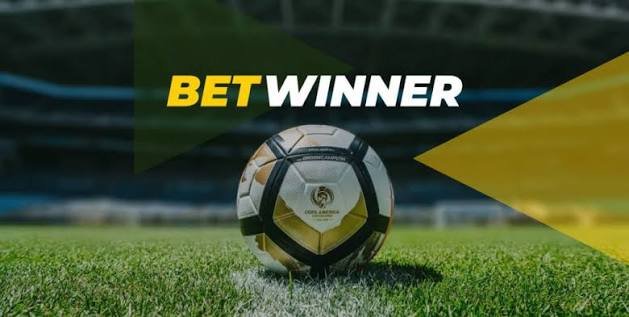 Download BetWinner APK File Your Gateway to Exciting Online Betting